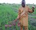 Pascal Gbenou