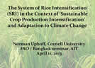 Uphoff FAO presentation