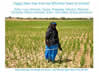 SRi-Rcie New Years Card 2012