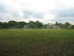 Sprinkler irrigation with SRI in Cuba