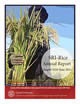 PAWE journal Special issue of the Journal Paddy and Water